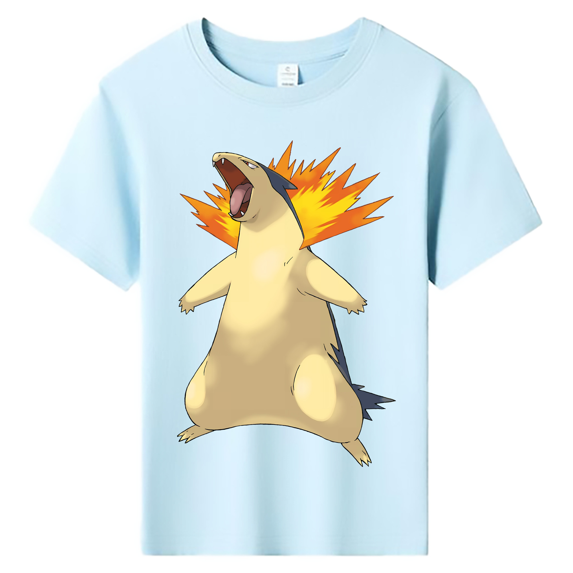 （画像用） ポケットモンスター Pokémon 綿100％キッズTシャツ（フロントプリント）